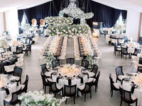 MLP-Rachel-Steve-Fleetwood-Farm-Winery-Leesburg-Wedding-Sneaks-205