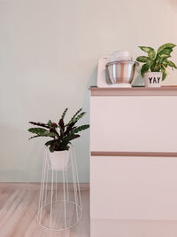 hoogglans witte keuken-grijs werkblad- planten-witte keukenmachine