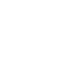 white lines