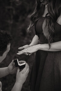 a boy proposes to his girlfriend during their session with shelly voss