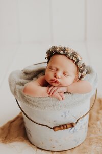 Sacramento, Elk Grove, Florin, Vineyard, Roseville, Davis, Rancho Cordova, East Sacramento, Cameron Park, Folsom, Antelope Newborn Photographer, Baby Photographer, A Little Goose