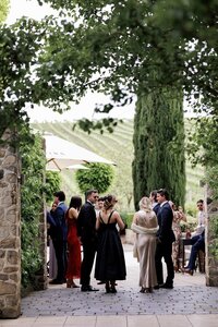 adelaide-wedding-photographer-golding-wines-gallery-46