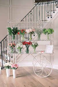 Ashley Link Photography-17