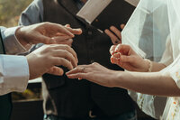 DSC02927