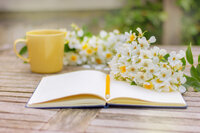 seo-strategy-notebook