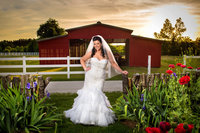 bridal portrait in front of the red bark at wildberry farm in marion, south carolina