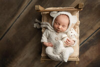 Newborn boy snuggled with a white bear stuffy on a wooden bed during his newborn session — serving families from Shakopee to New Ulm, MN.