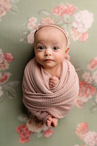newBorn baby girl is wrapped in pink and placed on a green and pink flowered background with her eyes wide open wearing a pink headband