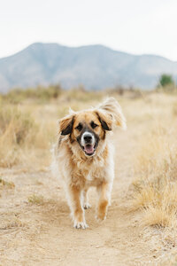 2026_parkerfamilypics-4