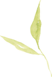 Green watercolor leaf design