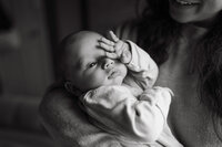 WEB_Norton-2025(25)