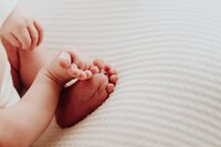 Sacramento, Elk Grove, Florin, Vineyard, Roseville, Davis, Rancho Cordova, East Sacramento, Cameron Park, Folsom, Antelope Newborn Photographer, Baby Photographer, A Little Goose