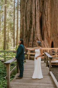 Big sur elopement photographer-12