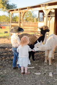 Sundance Hill Farm Branding + Austin TX Photographer 45
