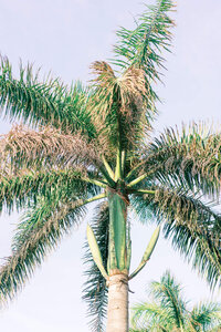 resident's beach marco island engagement photos - brittany bekas-13