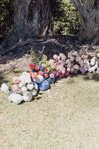 Alice&Andy-57