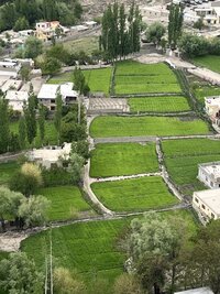 pakistan 7