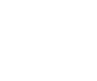 chicago style weddings logo