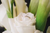 JasminePaulWedding-26_websize