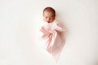 Newborn Infant posed for Newborn Portraits at Holy City Babies Portrait Studio in Charleston, SC.