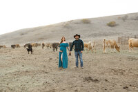 Pregnant couple walking through a pasture holding baby boots with cattle in the background during a countryside lifestyle maternity photography session captured by Kaitlyn Dawn Photography.