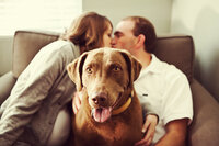 sacramento pet photographer, pet photographer sacramento, pet photos, pet photography, san francisco pet photos, pet photo sessions, pet photographer, pet photos sacramento, pet photos san francisco, family pet photos, family pet photo sessions
