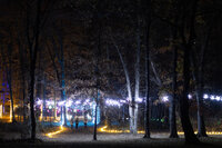 veritas illuminated nov2023 JackLooney-0141