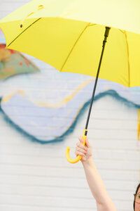 Umbrella in Hand