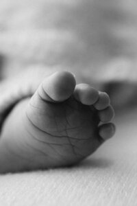 Christchurch newborn photographer