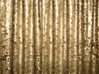Gold-Sequin-Backdrops-BananaWhoBooth