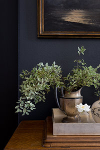 Black wall, silver pitcher on a side table with greenery