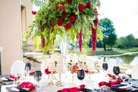 Distinct Event Planning & Dr Taketa's Birthday Soiree (4)