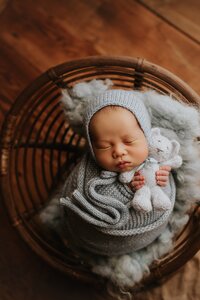 Sacramento, Elk Grove, Florin, Vineyard, Roseville, Davis, Rancho Cordova, East Sacramento, Cameron Park, Folsom, Antelope Newborn Photographer, Baby Photographer, A Little Goose