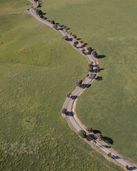 1107-DJI_0074