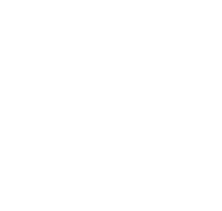 white-star-03