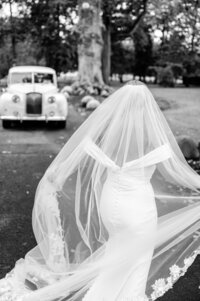 Bride with long lace veil