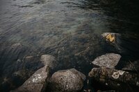 Norway_Elopement-269