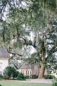 07-10 Stover -0121-2