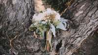 austin-prock-48954-unsplash