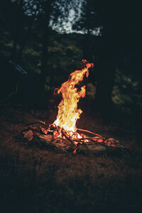 Campfire at night in the forest