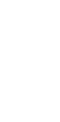 leaf illustration