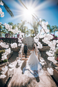 Cyprus Wedding Venue Olympic Lagoon Resort - Couple post against sunlit backdrop with blossom tree decor