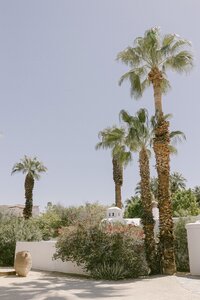 013-R6228902