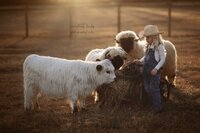 Everything Lovely Photography