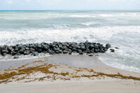 SunnyLeePhoto-8