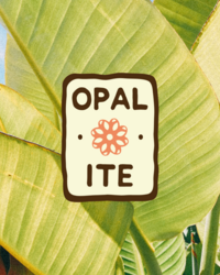 Opalite Brand Design_9