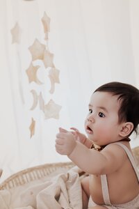Sacramento, Elk Grove, Florin, Vineyard, Roseville, Davis, Rancho Cordova, East Sacramento, Cameron Park, Folsom, Antelope Newborn Photographer, Baby Photographer, A Little Goose