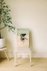 2023-06-21 Hannah Wren Photography Brand Session-972