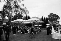 adelaide-wedding-photographer-golding-wines-gallery-97