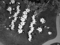 DJI_0431 (1)